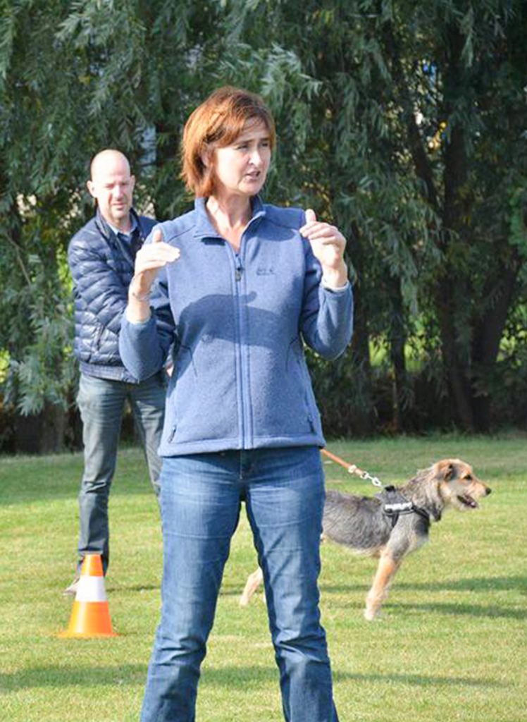 Hondenschool De wijze hond avelgem